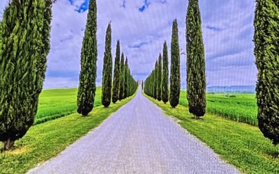 Jesus is in our midst